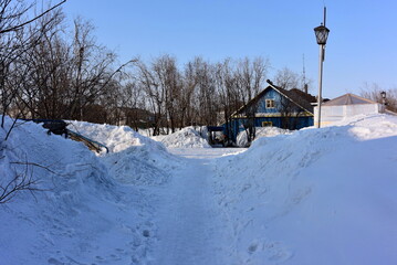snow-covered Park, North of Russia spring month of may clear sky and sun