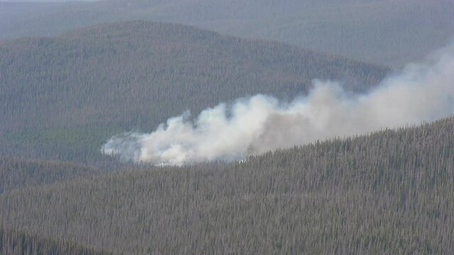 Close up of a forest fire from Cameron Peak that has traveled