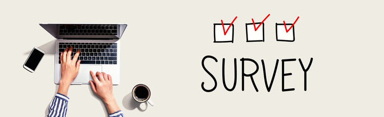 Survey with person using a laptop computer