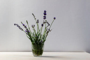 glass vase with fresh lavender on white background