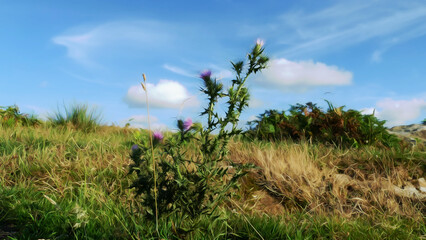Painting of the mountain and sky with clouds