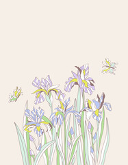 Irises and butterflies background. Floral greeting card or invitation design with copy space for text. Linear illustration in vintage colors