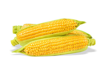 Heap of corn cobs isolated on white background