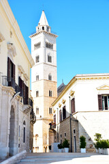 Fototapeta na wymiar Tower of Cathedral in Trani, Italy