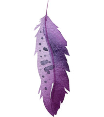 Watercolor boho purple feather illustration