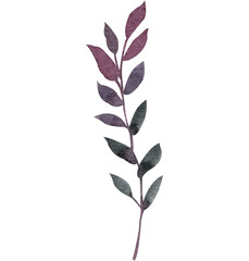Watercolor twig, stem, leaves, hand painted clip art. Watercolor greenery, foliage