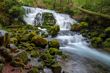 Pearsony Falls, Oregon