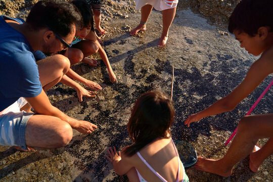 Family playing in ocean tide pool on beach
