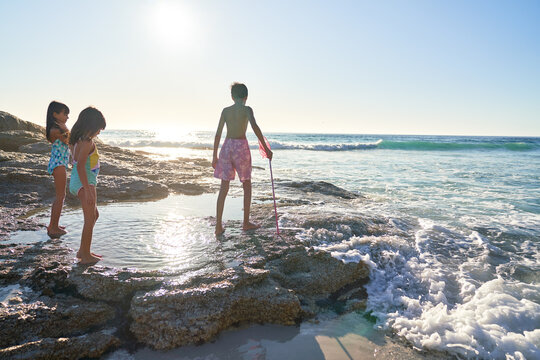 Brother and sisters playing in tide pool on sunny ocean beach