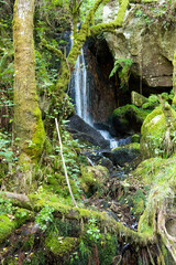 source of water in the ribeira sacra, ourense, galicia, spain