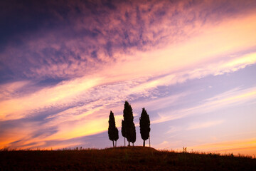 sunrise over cypress trees, beautiful morning colorful sky, tuscany, italy