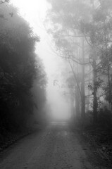 Obraz premium Frio da Serra 