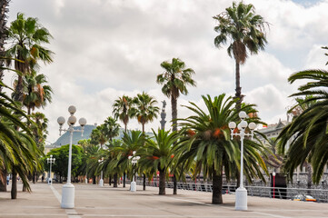 Fototapeta na wymiar Barcelona sea promenade with palm trees, Spain