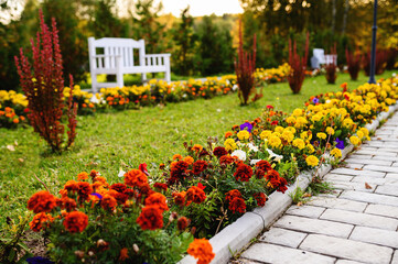 Romantic alley with flowers and wooden bench