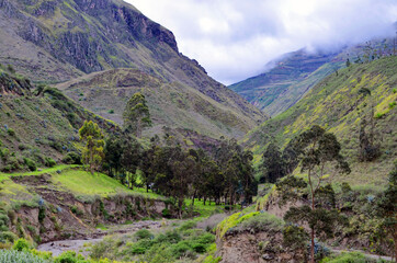 Fototapeta na wymiar Ecuador - Nariz del Diablo Train Ride
