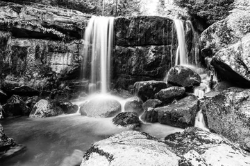 Abwaschbare Fototapete Schwarz und weiss Wilder Wald Wasserfall