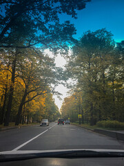 road in autumn