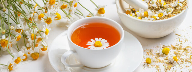 White cup of hot chamomile tea, a mortar with dry daisies buds and a bouquet of Matricaria chamomilla on concrete background, banner. Herbal drink, healthy lifestyle concept.