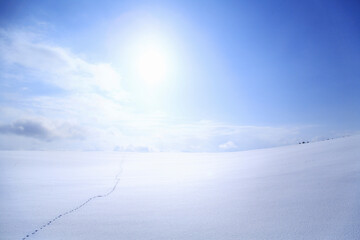 足跡のある雪原と太陽