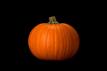 Round perfectly shaped orange pumpkin isolated on black background. Pumpkin in darkness. Halloween concept.     