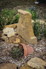 Flower pot in snail bed in French permaculture garden