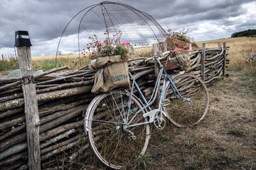 Old bicycle as decoration in permaculture garden