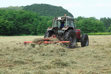牧草地のトラクター