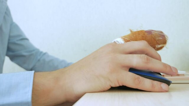 hand of a man with a bandaged finger uses a computer mouse and keyboard