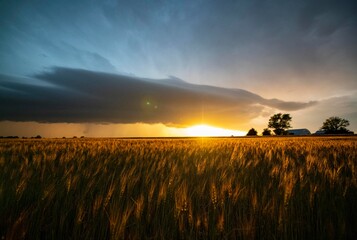 Severe storms tear apart the central Oklahoma landscape 