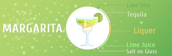 Mojito cocktail ingredients vector trendy stylish flat design