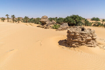 Oasis in the Sahara desert in Chad