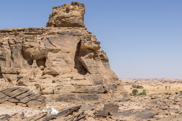 Fototapeta premium Oasis in the Sahara desert in Chad