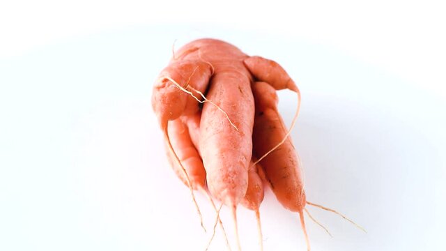 Ugly carrot rotate on a white background. Funny, unnormal vegetable or food waste concept. Horizontal orientation