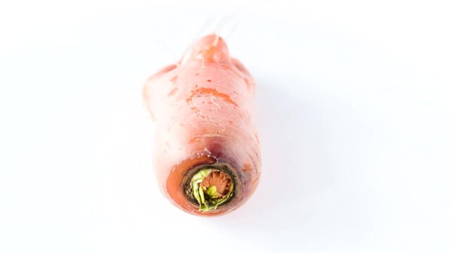 Ugly carrot rotate on a white background. Funny, unnormal vegetable or food waste concept. Horizontal orientation