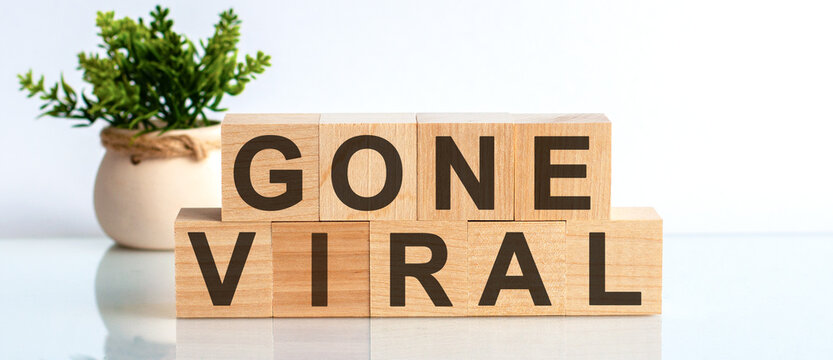 GONE VIRAL motivation text on wooden blocks business concept white background. Front view concepts, flower in the background.