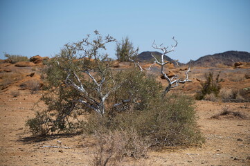 Landscape of a deserted area in South Africa