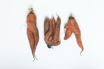 Three conjoined dirty carrots. Ugly vegetables. Concept - Food waste reduction. Using in cooking...