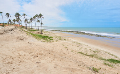 Praia de Lagoinha no Ceará. Coqueiros ao fundo