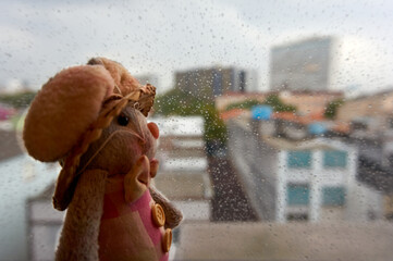 Coelho de pelúcia em frente a janela com gotas de chuva