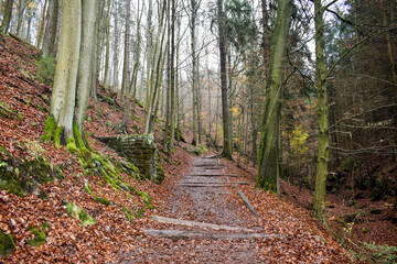 Fototapeta premium autumn in the mountains