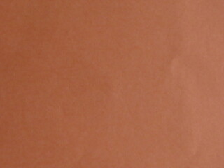 Beautiful background from the paper of coral color close-up.