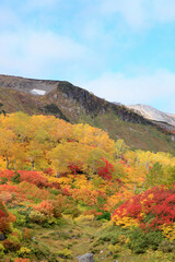 大雪高原沼の紅葉