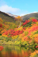大雪高原沼の紅葉（式部沼）