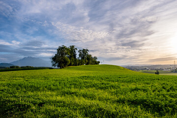 Fototapeta na wymiar green field and dramatic sky
