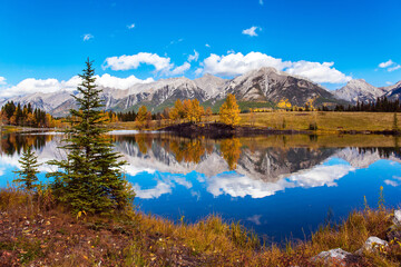 Fototapeta premium Autumn forest is reflected in the lake