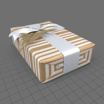 Wrapped Christmas gift 5