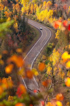 High angle view of a car on a curving road by trees in fall color in northern Minnesota