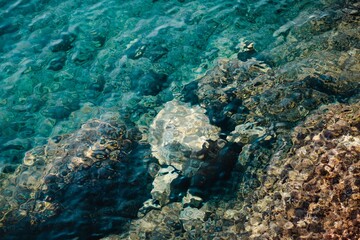 Fototapeta na wymiar Wonderful green crystal clean water background. Makarska, Croatia