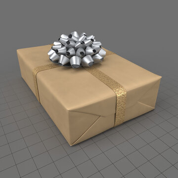 Wrapped Christmas gift 4