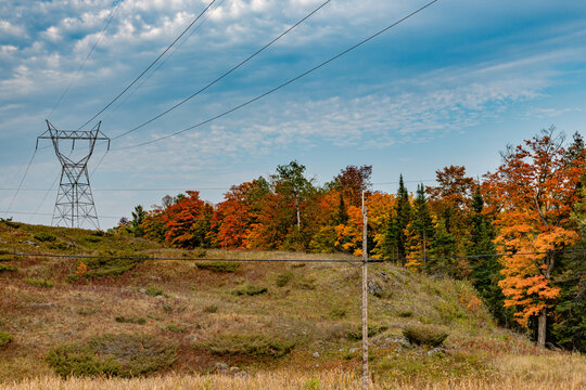 Hydro One power corridor fall colours colors copy space
